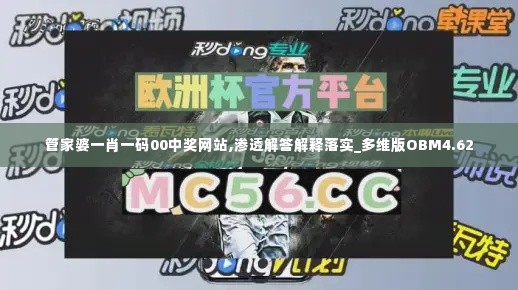 管家婆一肖一码00中奖网站,渗透解答解释落实_多维版OBM4.62