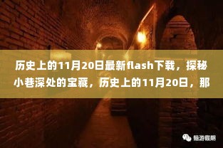 历史上的11月20日,探秘隐藏版Flash下载的秘密宝藏