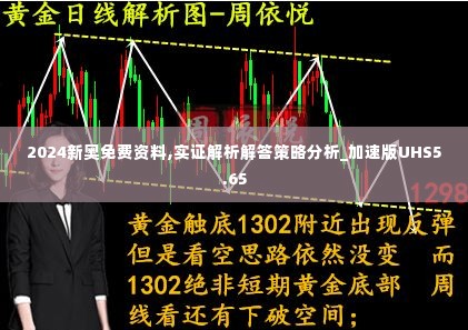 2024新奥免费资料,实证解析解答策略分析_加速版UHS5.65