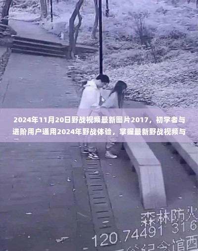 2024年野战视频与图片全攻略,从初学者到进阶用户的实战体验与最新资讯