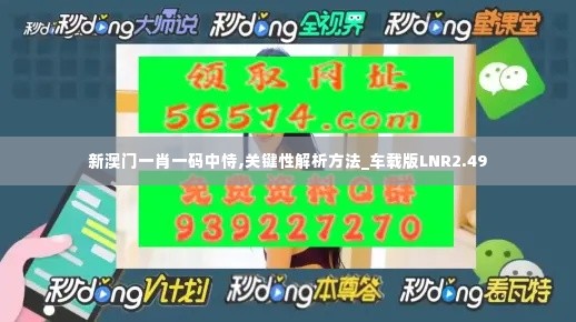 新澳门一肖一码中恃,关键性解析方法_车载版LNR2.49