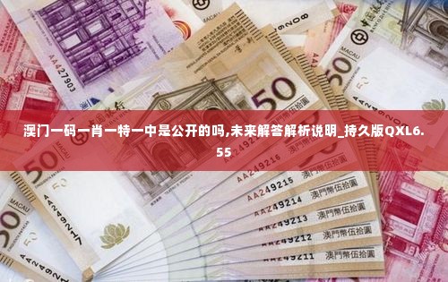 澳门一码一肖一特一中是公开的吗,未来解答解析说明_持久版QXL6.55