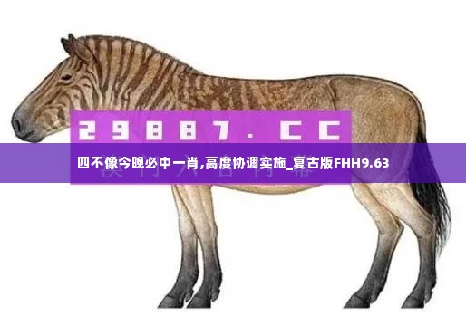 四不像今晚必中一肖,高度协调实施_复古版FHH9.63