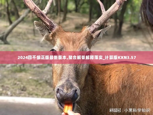 2024四不像正版最新版本,整合解答解释落实_计算版KXN3.57