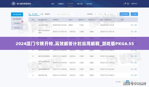 2024澳门今晚开特,高效解答计划应用解释_游戏版PKG6.55