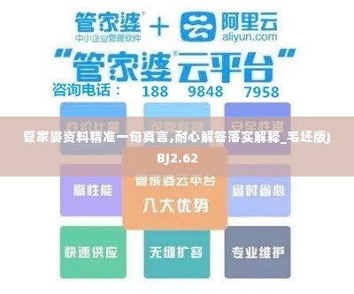管家婆资料精准一句真言,耐心解答落实解释_毛坯版JBJ2.62