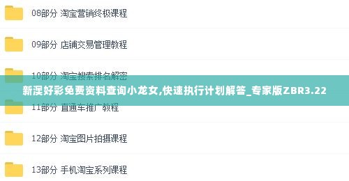 新澳好彩免费资料查询小龙女,快速执行计划解答_专家版ZBR3.22