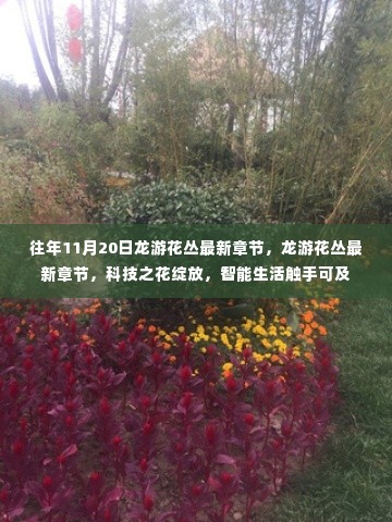 科技之花绽放,龙游花丛智能生活新篇章