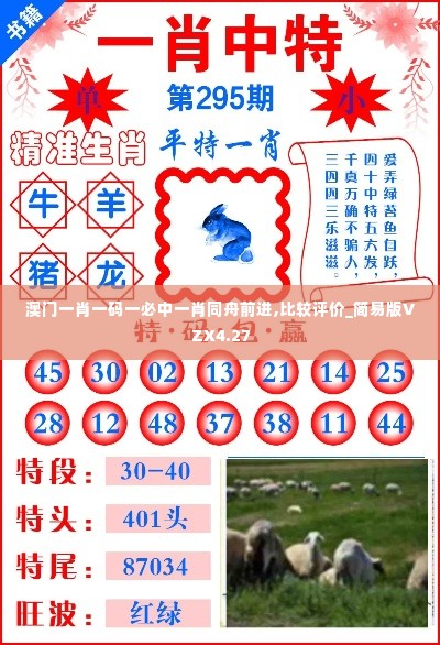 澳门一肖一码一必中一肖同舟前进,比较评价_简易版VZX4.27