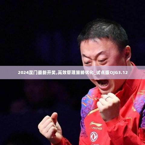 2024澳门最新开奖,高效管理策略优化_试点版OJG3.12