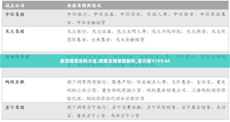 新澳精准资料大全,数据支持策略解析_复兴版YTE9.65