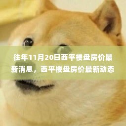 解读西平楼盘房价走势,最新动态与趋势预测(往年11月20日数据)