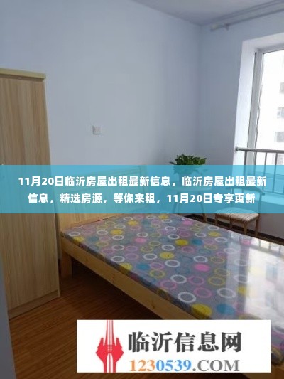 11月20日临沂房屋精选出租信息,最新房源等你来租