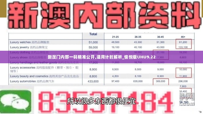 新澳门内部一码精准公开,适用计划解析_愉悦版UHU9.22