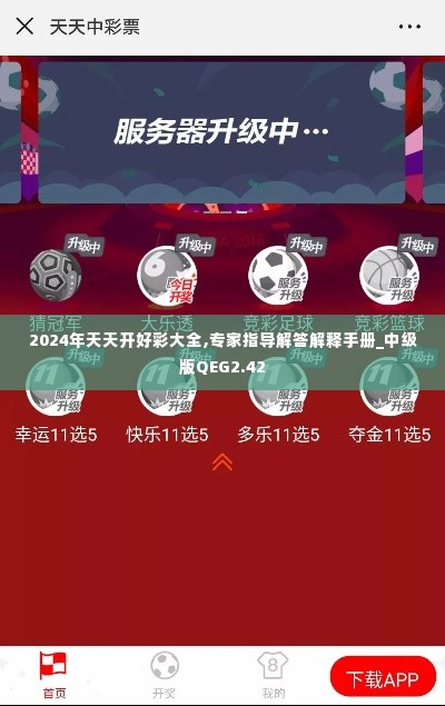 2024年天天开好彩大全,专家指导解答解释手册_中级版QEG2.42