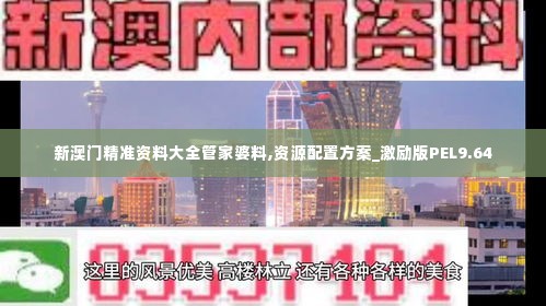 新澳门精准资料大全管家婆料,资源配置方案_激励版PEL9.64