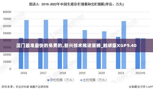 澳门最准最快的免费的,新兴技术推进策略_触感版XGP9.40