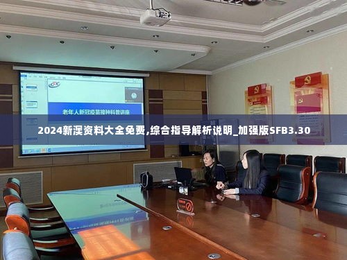 2024新澳资料大全免费,综合指导解析说明_加强版SFB3.30