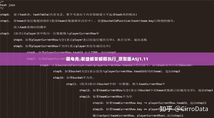 藏龟壳,敏捷解答解释执行_原型版ASJ1.11