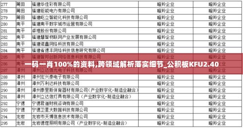 一码一肖100%的资料,跨领域解析落实细节_公积板KFU2.40