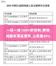 一码一肖100%的资料,跨领域解析落实细节_公积板KFU2.40