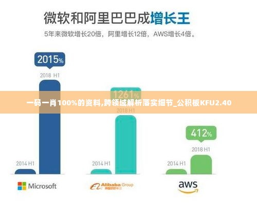 一码一肖100%的资料,跨领域解析落实细节_公积板KFU2.40
