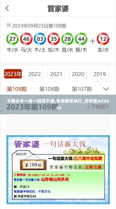 今晚必中一肖一码四不像,专业解答执行_同步版AVS6.55