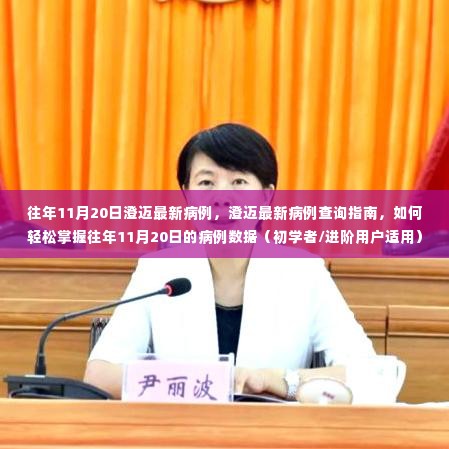 往年11月20日澄迈最新病例查询指南,轻松掌握病例数据,适用于初学者与进阶用户