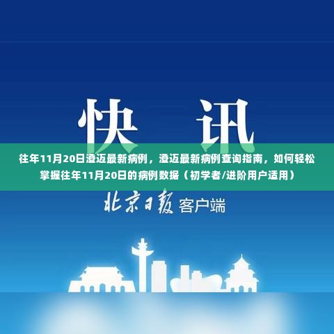 往年11月20日澄迈最新病例查询指南,轻松掌握病例数据,适用于初学者与进阶用户
