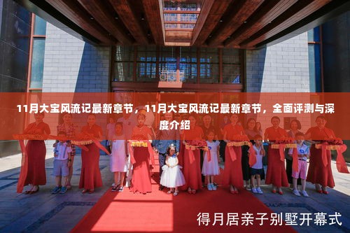 11月大宝风流记最新章节,全面评测与深度介绍