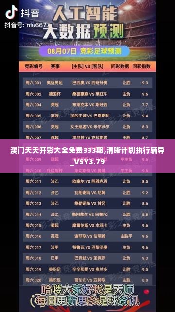 澳门天天开彩大全免费333期,清晰计划执行辅导_VSY3.79