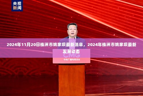 株洲市姚家坝地区发展动态更新,最新消息与未来展望(2024年)