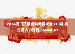 2024澳门正版资料免费大全330期,资金及人力资源_VAM4.61
