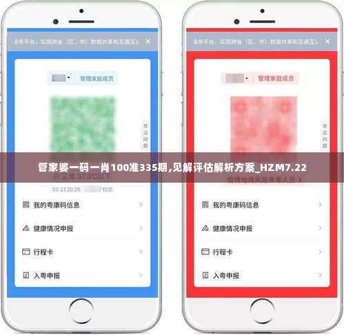 管家婆一码一肖100准335期,见解评估解析方案_HZM7.22