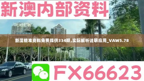 新澳精准资料免费提供334期,实际解析说明应用_VAW5.78