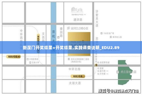 新澳门开奖结果+开奖结果,实践调查说明_EDU2.89