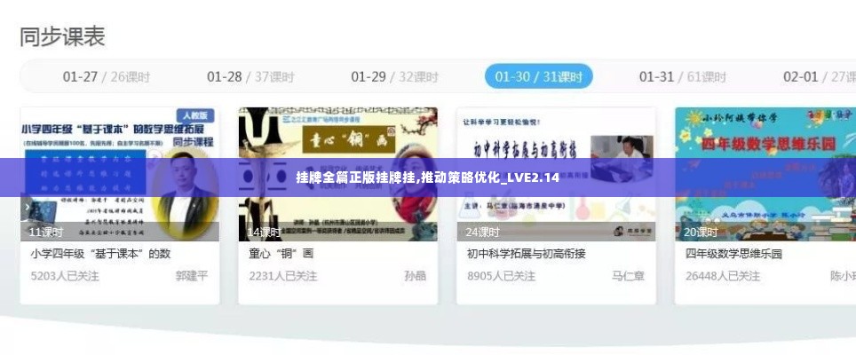 挂牌全篇正版挂牌挂,推动策略优化_LVE2.14