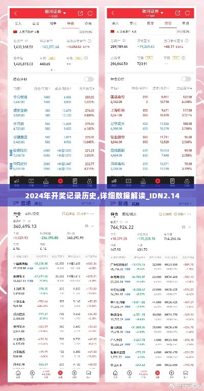2024年开奖记录历史,详细数据解读_IDN2.14