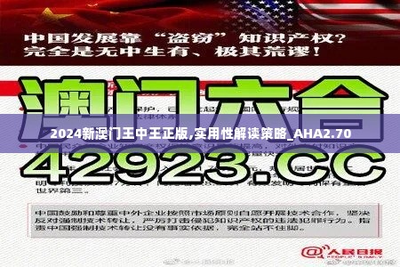 2024新澳门王中王正版,实用性解读策略_AHA2.70