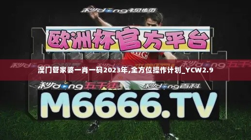 澳门管家婆一肖一码2023年,全方位操作计划_YCW2.9