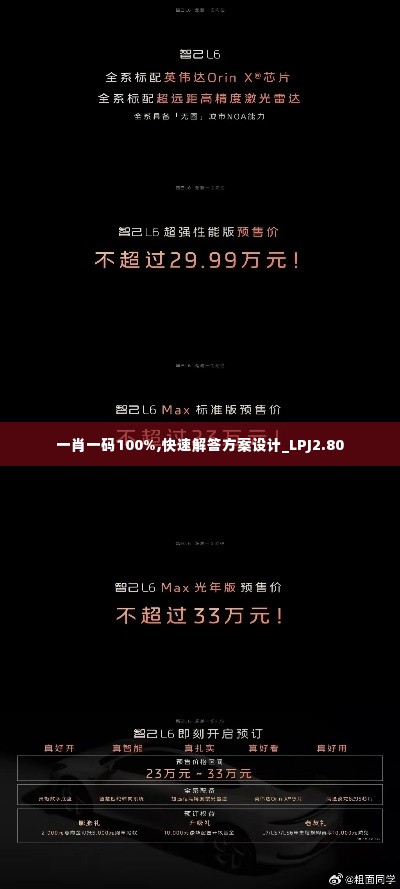 一肖一码100%,快速解答方案设计_LPJ2.80