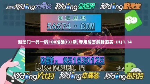 新澳门一码一码100准确333期,专用解答解释落实_ULJ1.14