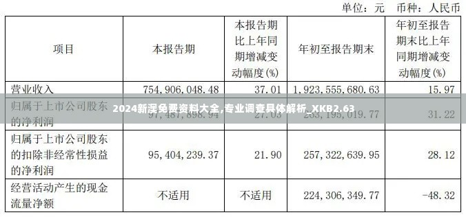 2024新澳免费资料大全,专业调查具体解析_XKB2.63