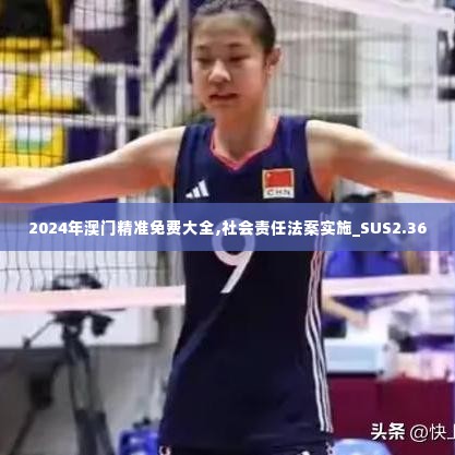 2024年澳门精准免费大全,社会责任法案实施_SUS2.36