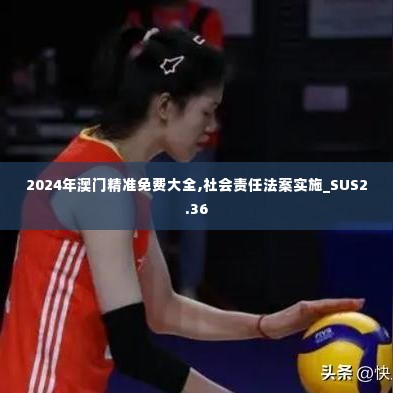 2024年澳门精准免费大全,社会责任法案实施_SUS2.36