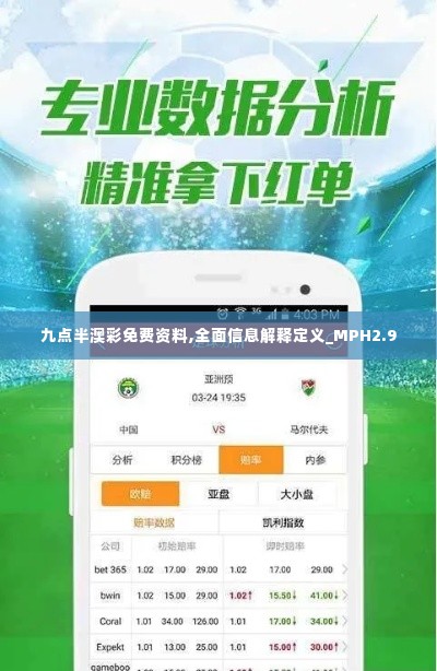 九点半澳彩免费资料,全面信息解释定义_MPH2.9