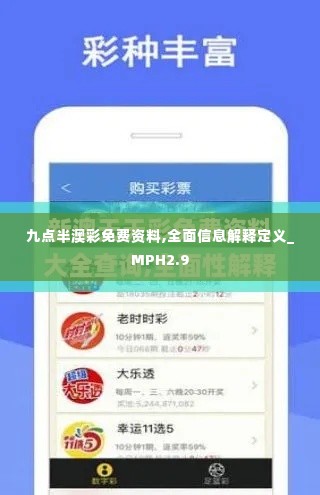 九点半澳彩免费资料,全面信息解释定义_MPH2.9