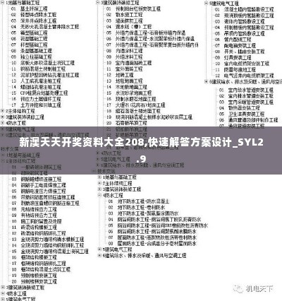 新澳天天开奖资料大全208,快速解答方案设计_SYL2.9