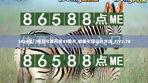 2024澳门特马今晚开奖49图片,数据引导设计方法_FIV2.78