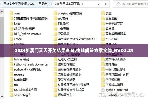 2024新澳门天天开奖结果查询,快速解答方案实践_NVO2.29